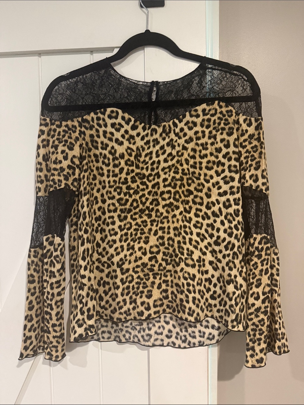 Zara Leopard Print Sheer Yoke Lace Long-Sleeve Women's Top
